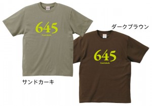 サンドカーキ・ダークブラウンTシャツ